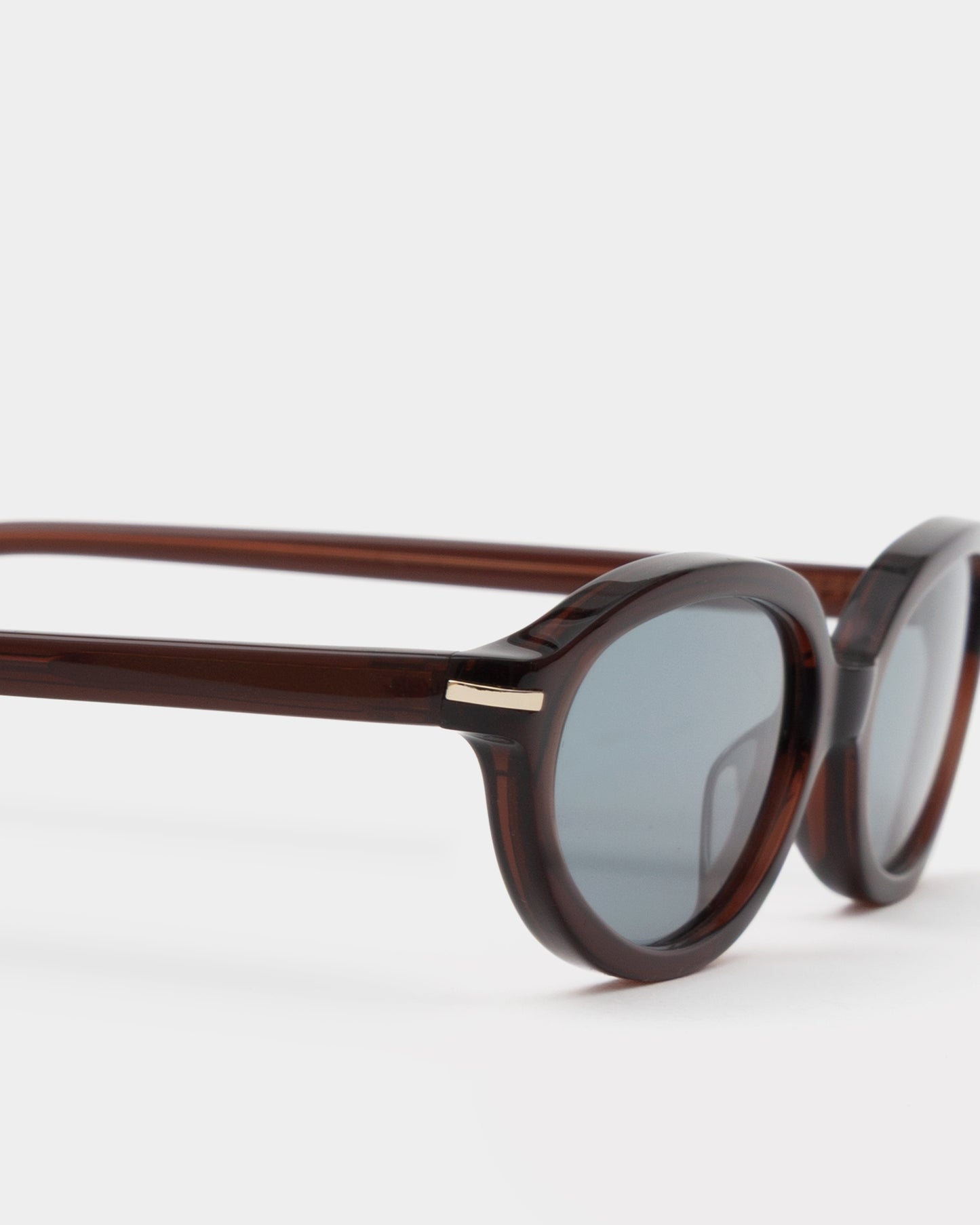 Noor Transparent Mahogany Sunglasses