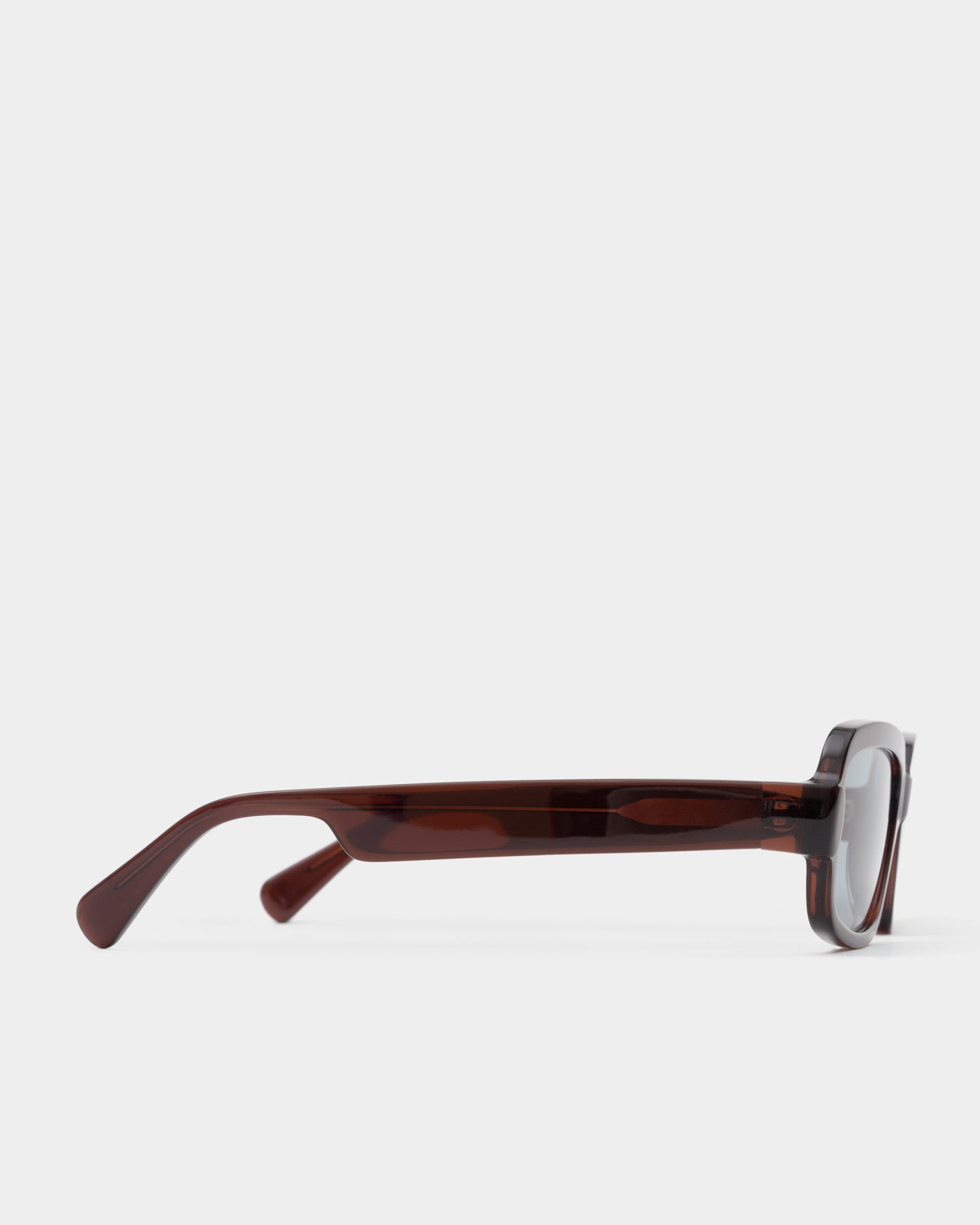 Sylvia Transparent Mahogany Sunglasses