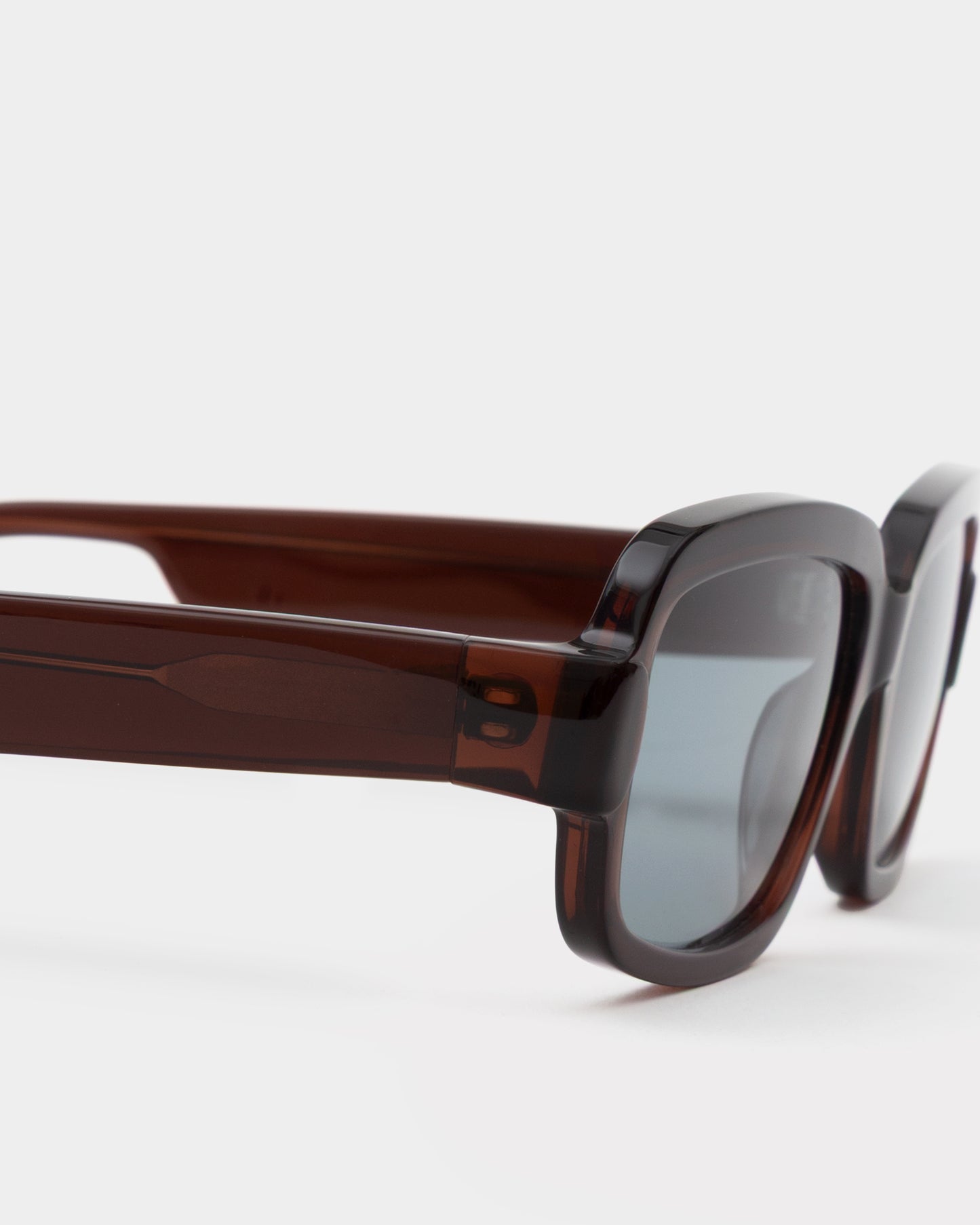 Sylvia Transparent Mahogany Sunglasses
